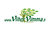 Paeonia lactiflora 'Shirley Temple' KIINANPIONI