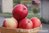 Omenapuu Malus domestica Pirja Kesä hillittykasvuinen 150-
