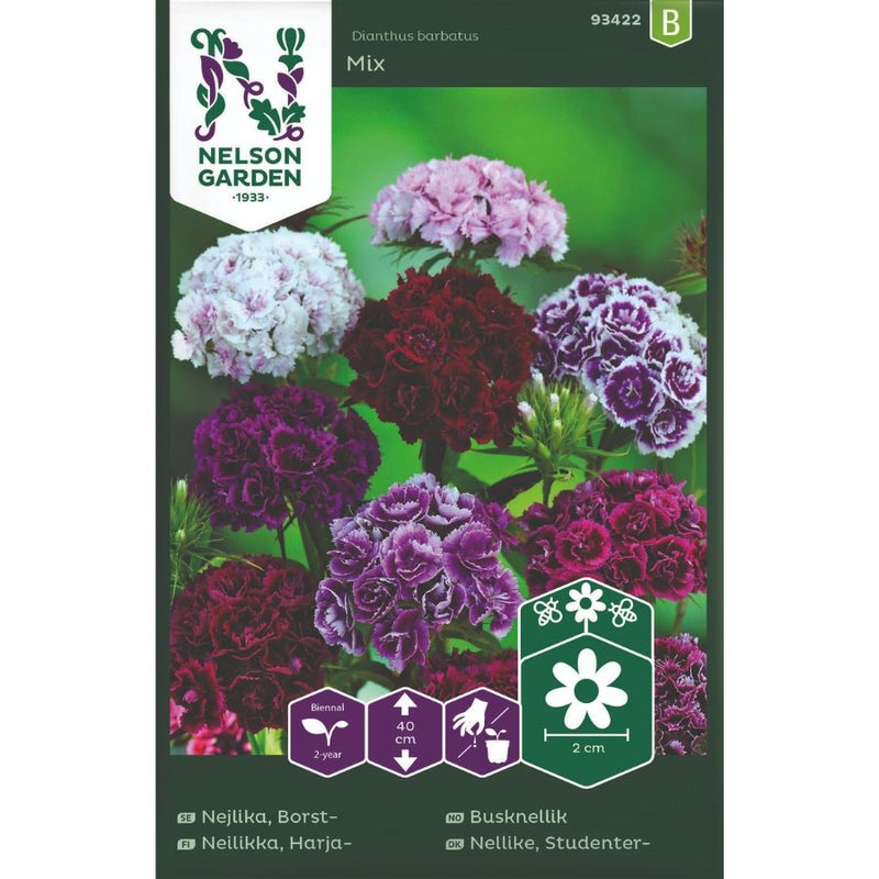 Harjaneilikka Mix siemenpussi