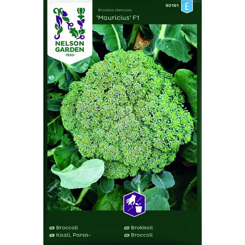 Parsakaali 'Mauricius' F1 siemenpussi