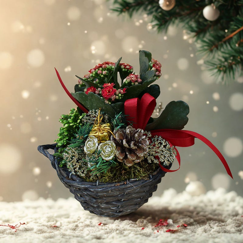 Jouluasetelma kulta pieni