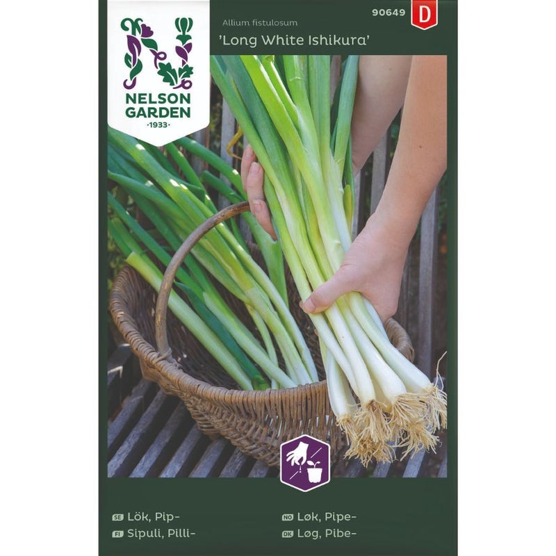 Pillisipuli &lsquo;Long White Ishikura&rsquo; siemenpussi