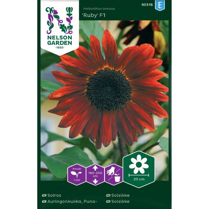 Puna‑auringonkukka &lsquo;Ruby F1&rsquo; siemenpussi